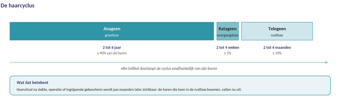 De haarcyclus